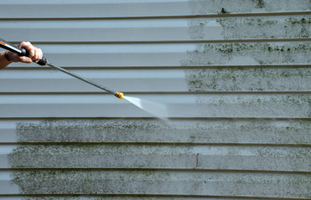 Best Pressure Washing Services for Businesses  in Waterloo, NE